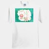 Supplied Blank Shirt Thumbnail