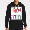 Apparel ® Unisex Santa Cruz Pullover Hoodie Thumbnail